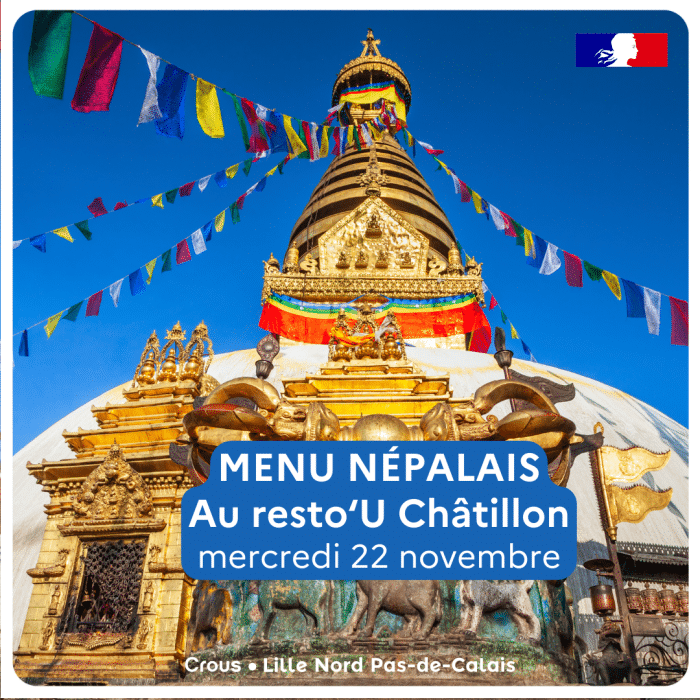 Insta Menu Nepalais