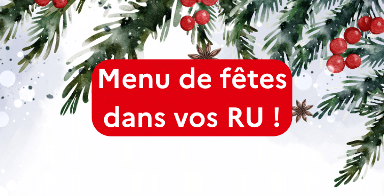 Image avec un fond enneigé et des branches de houx avec écrits "menus de fêtes dans vos RU"
