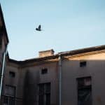 24_Photo_Un regard vers le ciel 24 Photo Un regard vers le ciel
