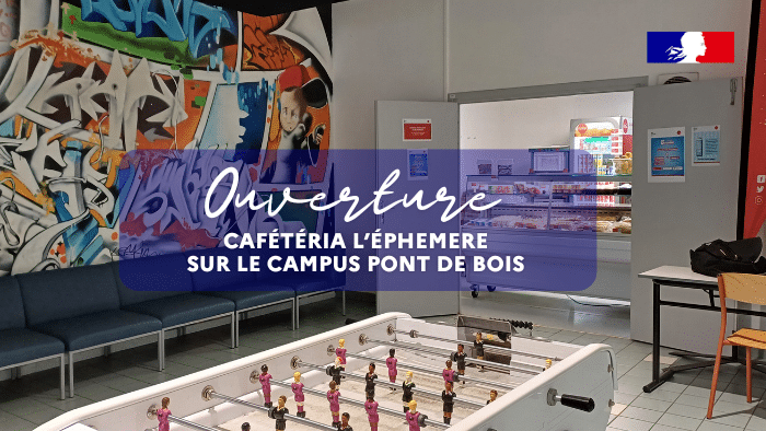 Copie de SITE veille sociale noel 2024 1