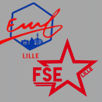 Logo FSE EMF